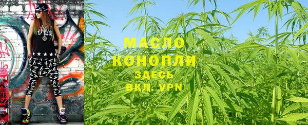 дмт Богданович