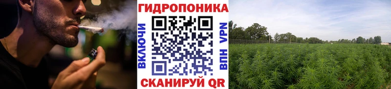 Шишки марихуана гибрид Городец
